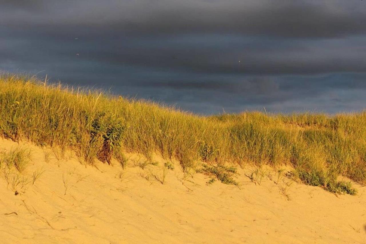 The Braemar Condominium North Truro Zewnętrze zdjęcie